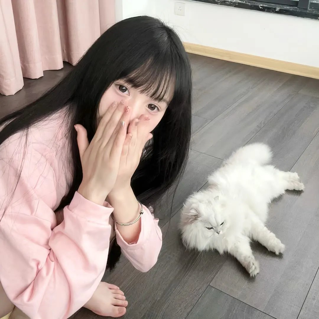 彩凤云裳